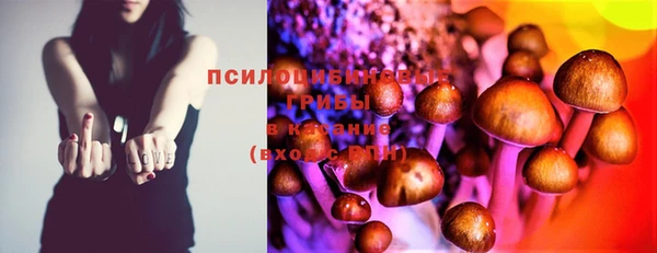 метадон Богданович