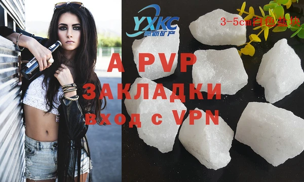 стаф Бородино