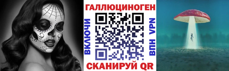 Галлюциногенные грибы Psilocybe  omg зеркало  Канск 